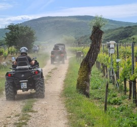 Can am adventure day luxury marine maj 2021 3